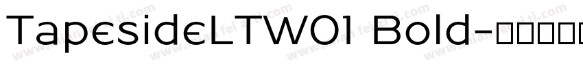TapesideLTW01 Bold字体转换